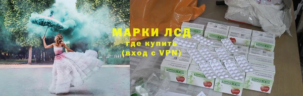 круглые Тайга
