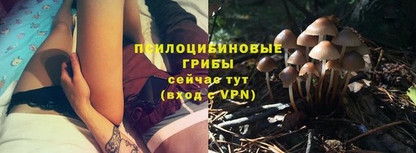 соль ск Володарск