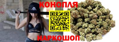 мдпв Гусев