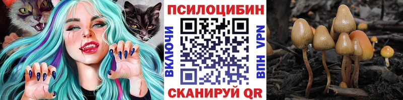 купить наркотик  Мариинск  Галлюциногенные грибы прущие грибы 