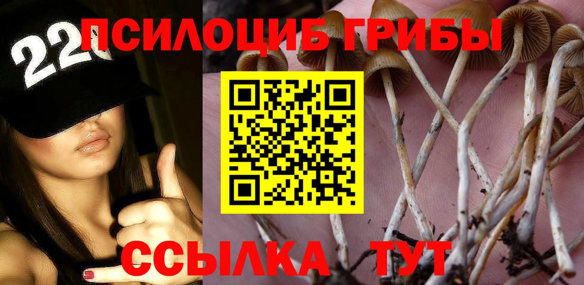 МАРИХУАНА  Вход с VPN  Продажа наркотиков  Мариинск  ЭКСТАЗИ  A PVP СОЛЬ   Гашиш  НБОМе  Cocaine  МЕФ кристаллы 